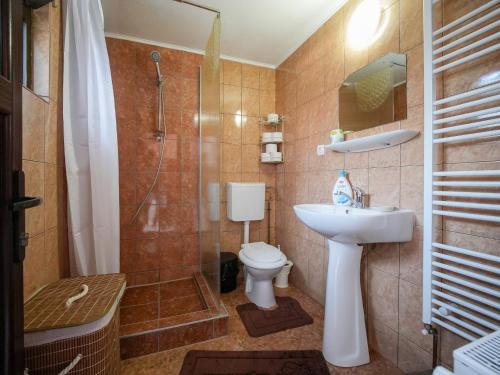 a bathroom with a shower and a toilet and a sink at CASA DODO in Călimăneşti