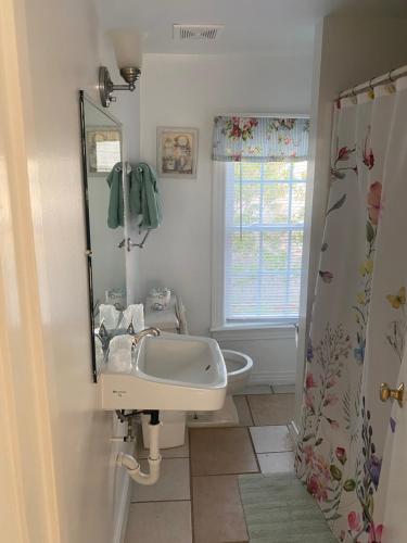 a bathroom with a sink and a mirror at Angie's Guest Cottage in Virginia Beach