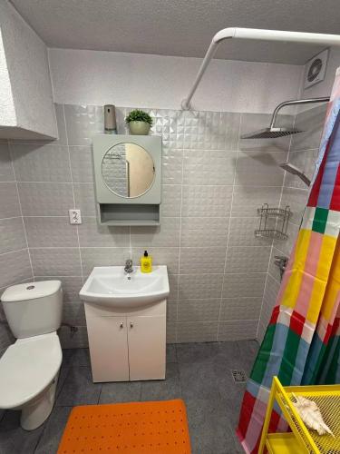 ein kleines Badezimmer mit Toilette und Waschbecken in der Unterkunft Kalmāri in Kolka