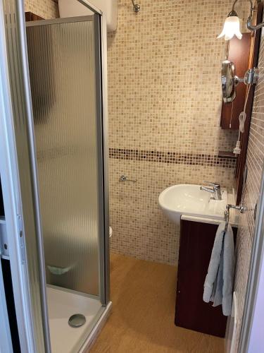 a bathroom with a shower and a sink at B&b DA FELICE MONOLOCALE in Serino