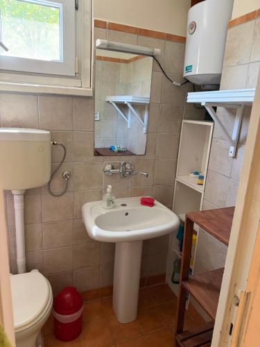 a small bathroom with a sink and a toilet at Chata Dorka in Kamenica nad Hronom