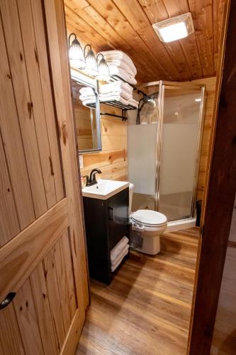 a bathroom with a toilet and a shower and a sink at The Windstorm Cabin - Pet-friendly & a 2-person Jacuzzi hot tub! in Marshall
