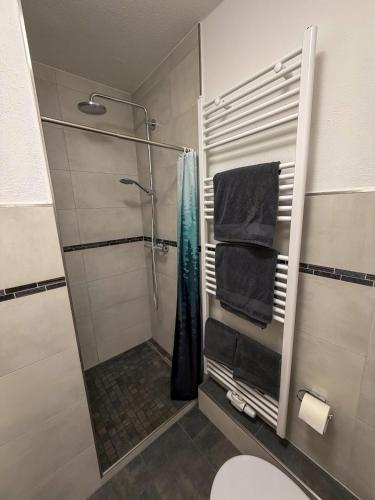 a bathroom with a shower with black towels and a toilet at Haus Sachsensteinblick in Bad Sachsa