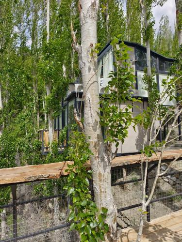 a tree with a house on top of a fence at Cloud Nine And A Half in Hunza Valley