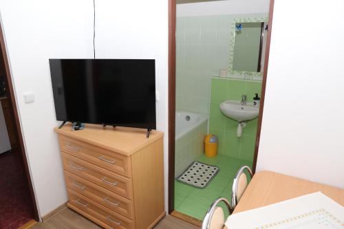 a bathroom with a tv on top of a dresser at Penzion Chřiby in Staré Hutě