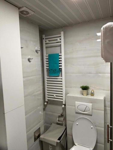 a small bathroom with a toilet and a sink at Lazaro Urban Apartment in Skopje