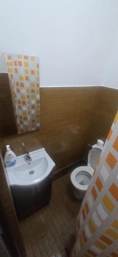 a bathroom with a sink and a toilet at D&ATurism in Prăjila