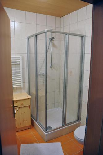 a shower stall in a bathroom with a toilet at Popp`n Angerl in Tauplitz