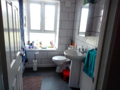 a bathroom with a toilet and a sink and a window at Miskin in Llwyn-y-pia