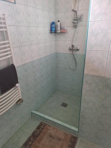 a shower with a glass door in a bathroom at Veszei Apartman in Békéscsaba