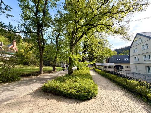a tree on a sidewalk next to a street at Hotel Natura Centrum Zdrowia in Duszniki Zdrój