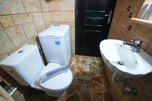 a bathroom with a white toilet and a sink at Efi Pool & View Alepochori i in Kato Alepochori