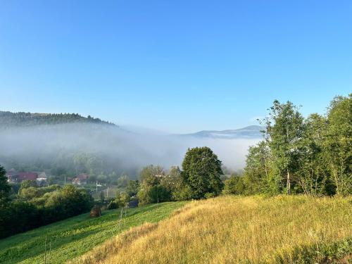 a grassy hill with fog in the distance and trees at Borzhava View Chalet in Nizhniy Studenyy