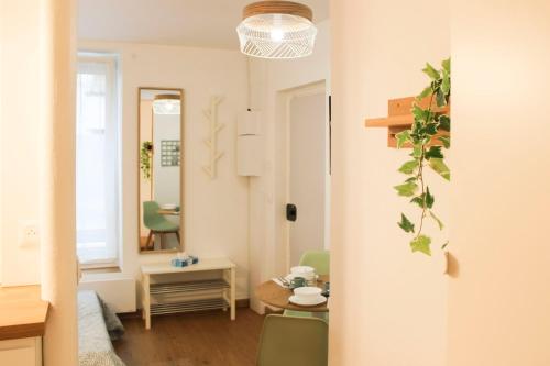 Charming studio in the heart of Paris 14