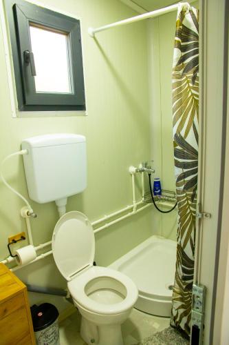 a bathroom with a toilet and a bath tub at Casa Dunja Čačak in Čačak