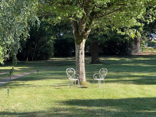 two chairs sitting in the grass under a tree at Château Talence 1870 in LʼAbsie