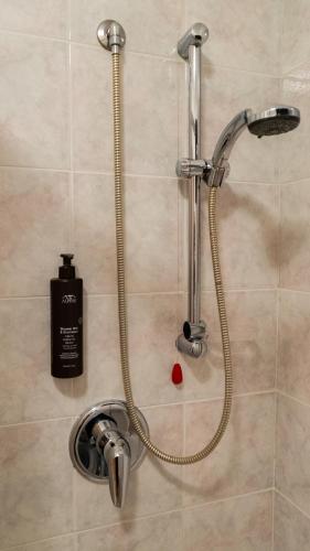 a shower in a bathroom with a bottle of soap at Alpine Living Apartments in Bormio