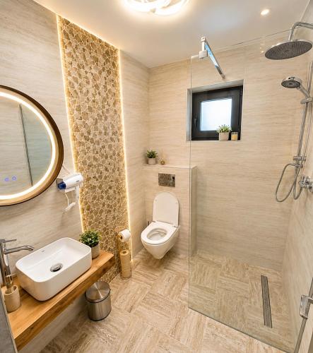 a bathroom with a toilet and a sink and a shower at Vila Monica in Buşteni