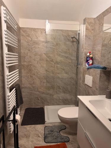 a bathroom with a toilet and a sink at ApartmentRegina, renoviert! in Knittelfeld