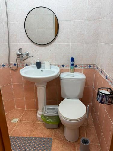 a bathroom with a toilet and a sink at Barskhan Guest House in Bosteri
