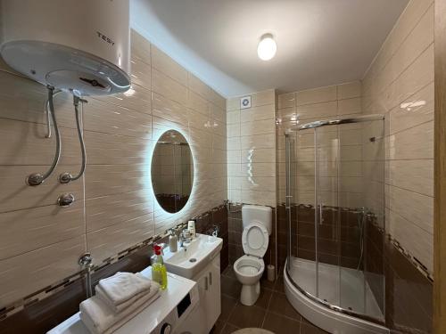 a bathroom with a sink and a toilet and a shower at Stan na dan Hilandarska 9 in Lukavica