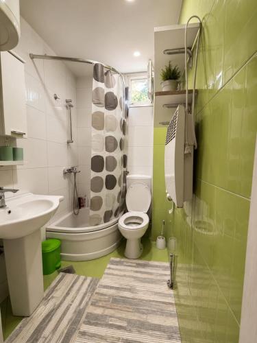 a green bathroom with a toilet and a sink at Apartman Bambi Vlašić in Vlasic