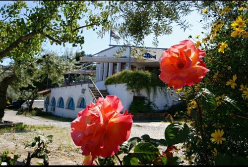 Gallery image of Hostal Ondina in Begur