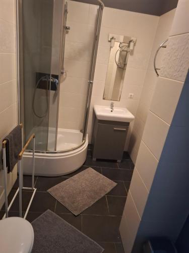 a bathroom with a shower and a sink and a toilet at dom & weranda in Szczęsne