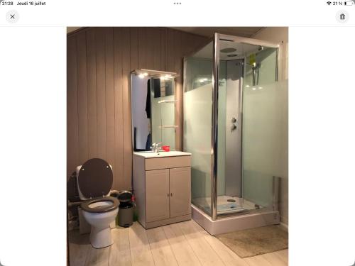 a bathroom with a toilet and a glass shower at Le nid marin in Étretat