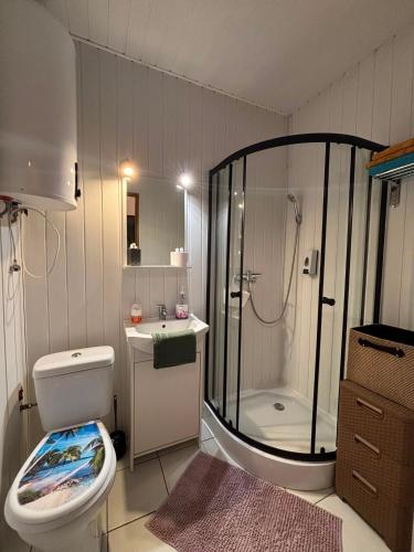 a bathroom with a shower and a toilet and a sink at Domek letniskowy Sarnowo, Skępe in Skępe