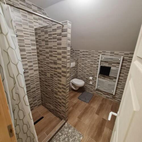 a bathroom with a shower with a toilet in it at Pitvar Vendégház in Zalaegerszeg