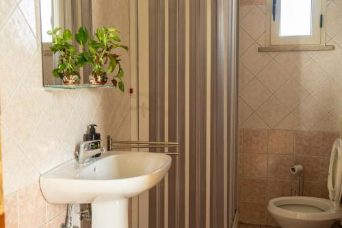 a bathroom with a sink and a toilet at Villa Sofia in Sogliano Cavour