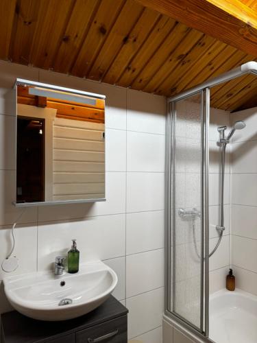a bathroom with a sink and a shower at Seesen Private Lodge in Seesen