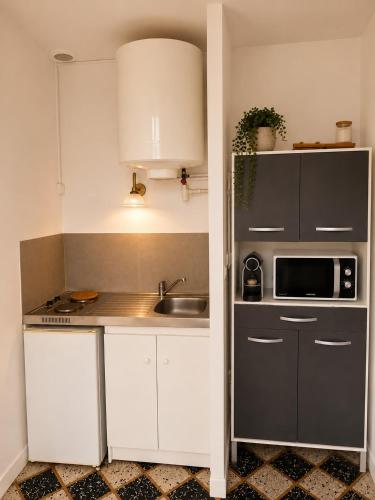 a small kitchen with a sink and a microwave at Studio Notre Dame in Château-Chinon