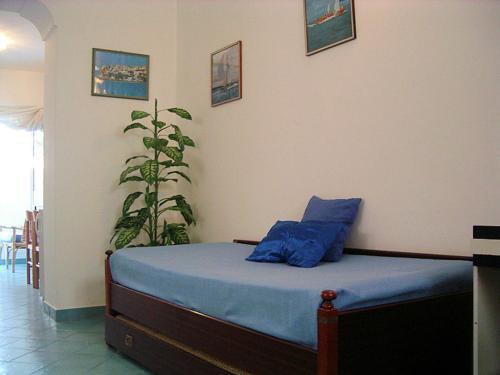 En eller flere senge i et værelse på BLU MARINE CASA a 10mt dalla SPIAGGIA