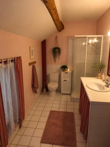 a bathroom with a sink and a toilet and a shower at La Longère de la Promenade in Château-Chinon