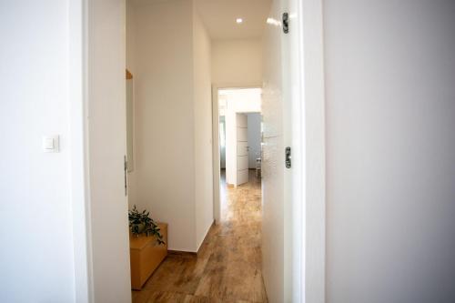 Sun And Fun - Happy Rentals