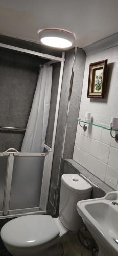 a bathroom with a white toilet and a sink at Brunant Arms Hotel in Caio