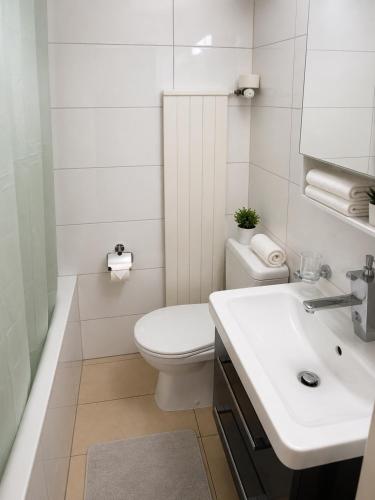 a white bathroom with a toilet and a sink at Die möblierten Apartments in Triesen