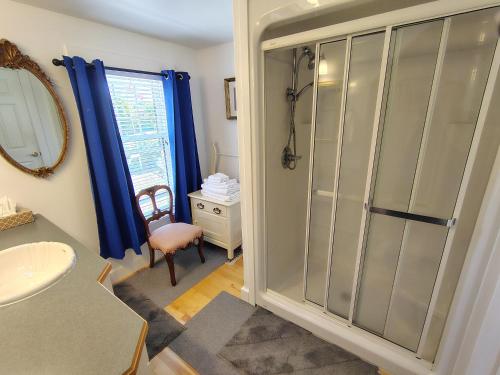 a bathroom with a shower and a sink at Digby Bed and Breakfast in Digby