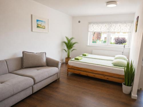 a living room with a bed and a couch at Pokoje nad Welem Lidzbark in Lidzbark
