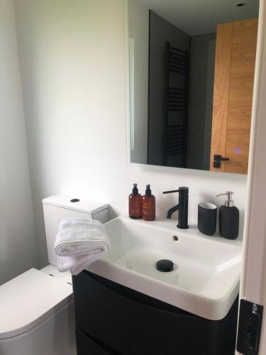 a bathroom with a sink and a toilet at Luxury Glamping Cabin sleeping 4 People with Private Hot Tub and BBQ with views across the North Coast Ballycastle Pod 2 in Ballycastle