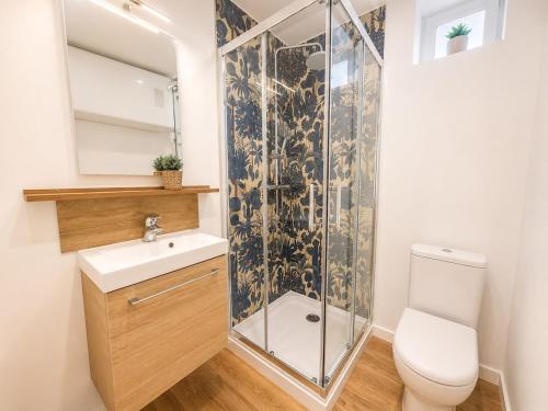 a bathroom with a shower and a toilet and a sink at Azur, Cosy Blue studio, ultra centre de Desvres in Desvres