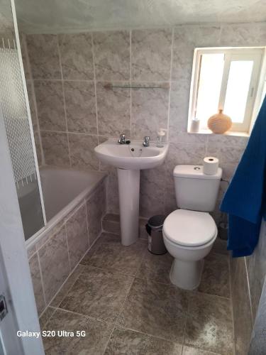 a bathroom with a toilet and a sink and a tub at La Finca Roja una in Málaga