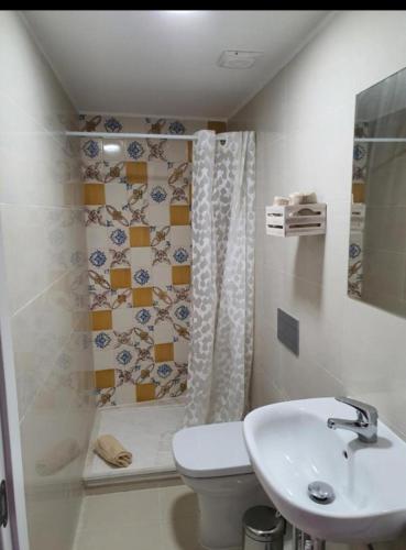 a bathroom with a toilet and a shower and a sink at Ductus Aquae House in Évora