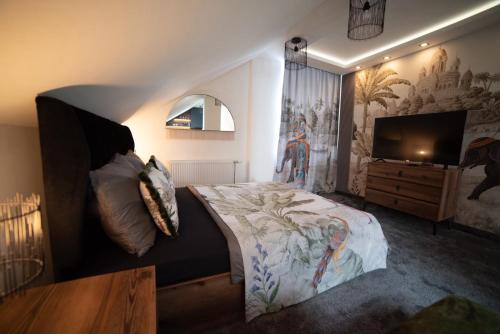 a bedroom with a king sized bed and a television at JelenaR in Novi Sad