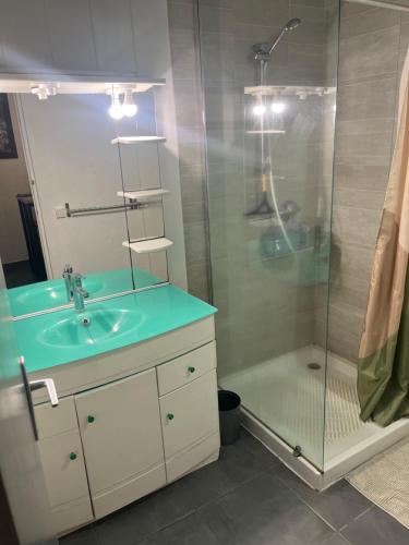 a bathroom with a sink and a shower at an eol caraibes in Trois-Rivières