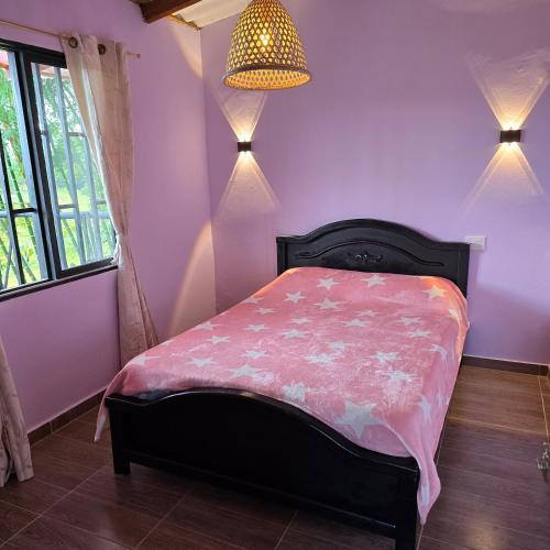 a bedroom with a bed with pink walls and a chandelier at Finca La Preciosura in El Peñol