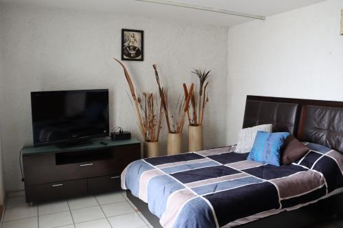 a bedroom with a bed and a flat screen tv at Hotel 7 Rooms in Guadalajara