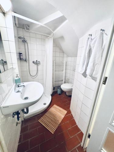 a bathroom with a sink and a shower and a toilet at The sanctuary ljubljana in Ljubljana